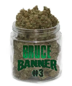 Bruce Banner #3 (1 ounce)