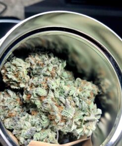 Buy Sour Diesel strain (DNA Genetics) Online