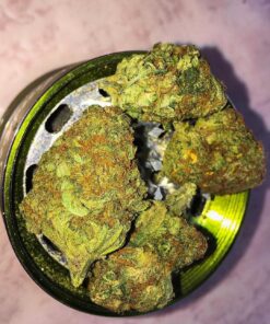 Blueberry Kush Strain