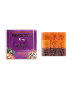 Berry Fruit Snack Pack