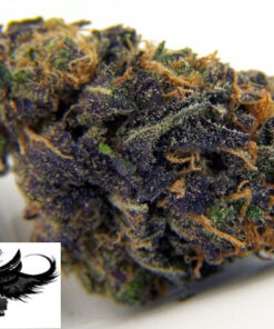 Blackberry Kush