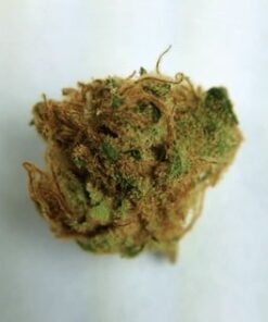 Chemdawg #4