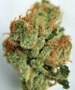 Bruce Banner Weed