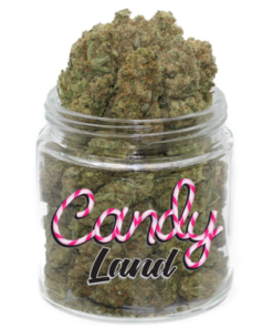 Candyland (1 ounce)