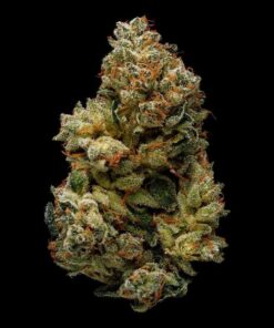 Gorilla Glue #5 Strain