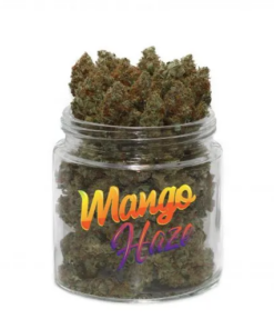 Mango Haze (1 ounce)
