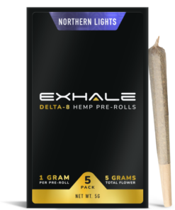 NORTHERN LIGHTS (5-PACK)