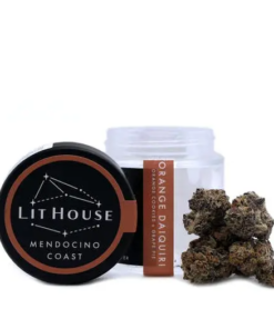 Orange Daiquiri (1 ounce)