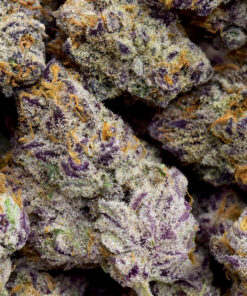 Purple Haze