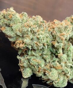 Buy Jack Herer Online