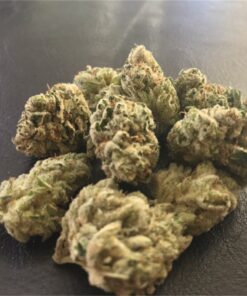 Best Northern lights strain